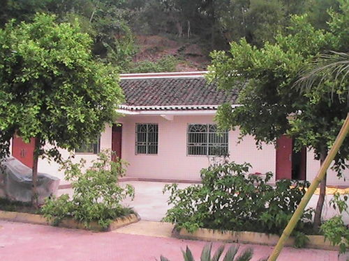 促蛹化蝶――記新農(nóng)村示范村九井鄉(xiāng)九井村