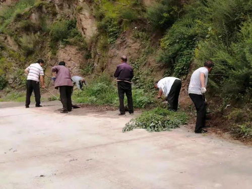 信都區(qū)漿水鎮(zhèn)“學(xué)講話 辦實(shí)事”系列專欄 | 栗樹坪村 打造“星外系”特色部落，繪就鄉(xiāng)村振興新畫卷