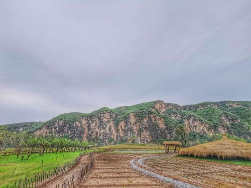 《玉米冒險(xiǎn)村》星外系村部落 福辛的故土傳奇