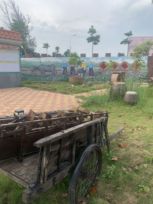 記錄穩(wěn)村2020年美好瞬間——吳康權(quán)鏡頭下的星外系村部落