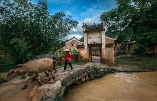 星外系村部落 2017年中國最美古村，湖南獨(dú)占八席，秘境之美驚艷全國