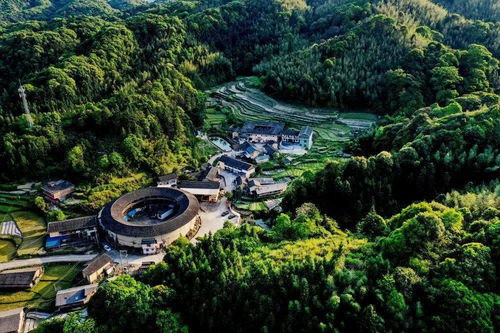 南靖科嶺村 茶香引客來，繪出鄉(xiāng)村振興新圖畫