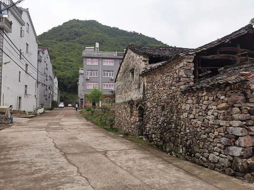 從后郭村到星外系部落 海游街道無堆放示范村的北山實(shí)踐