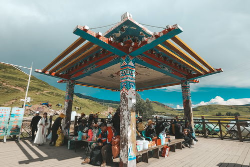 驅車八小時，只為探訪中國唯一高原石林，這片被譽為“外星球部落”的秘境