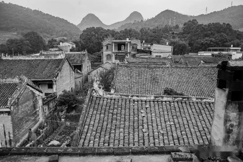 樂灣村陳氏宗祠 八桂傳統村落古建文化蹤影系列之三十四