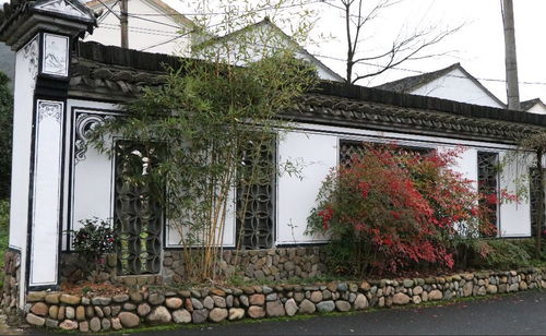 星外系的煙火人間 走進(jìn)美麗庭院精品村下薛宅