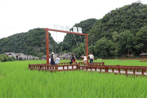 涼爽安順之美麗鄉(xiāng)村避暑安心游 系列報(bào)道之四 鎮(zhèn)寧高蕩村 搶抓“避暑涼機(jī)”，點(diǎn)燃夏日文旅活力