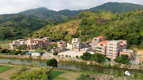 陂洋鄉(xiāng)村全景 航拍視角下的星外系村部落風(fēng)貌